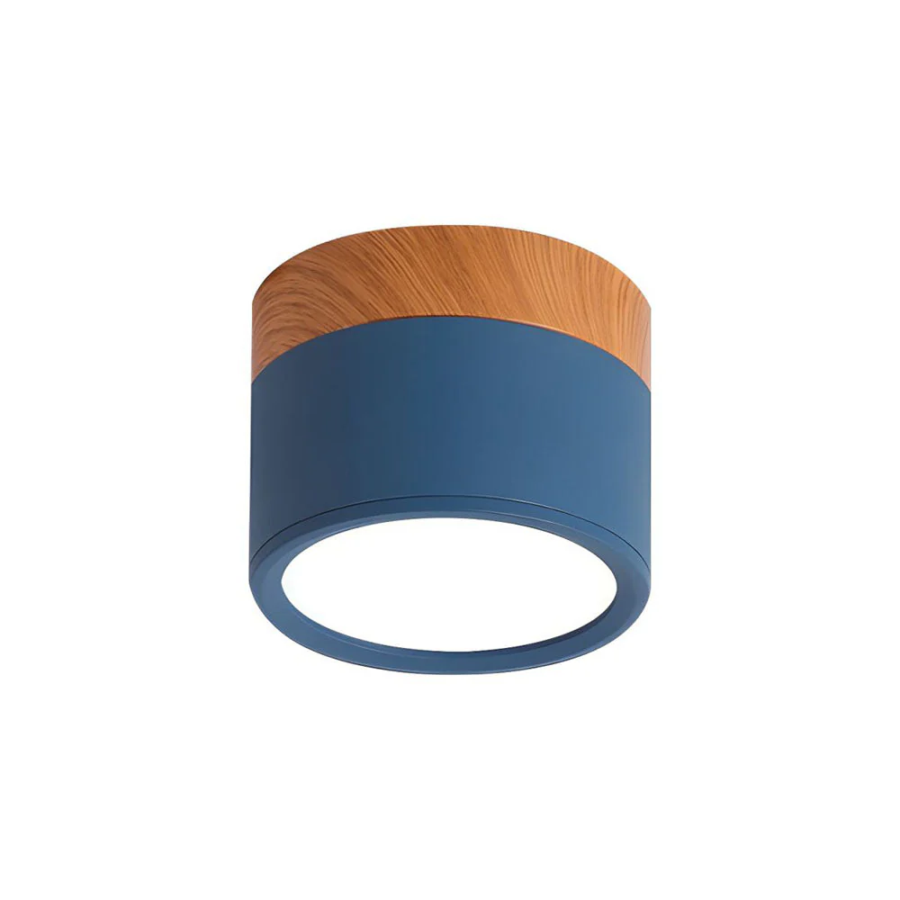 Modern Flush Mount LED Ceiling Light �?Compact Weatherproof Aluminium Fixture for Porch & Hallway