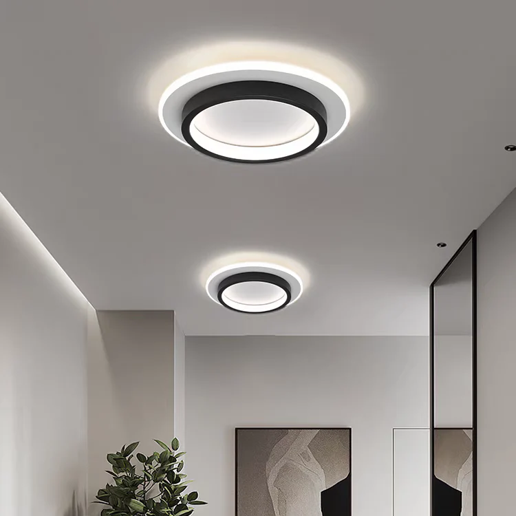 Modern Flush Mount LED Ceiling Light �C Minimalist Round Acrylic Design, 3 Colour Modes