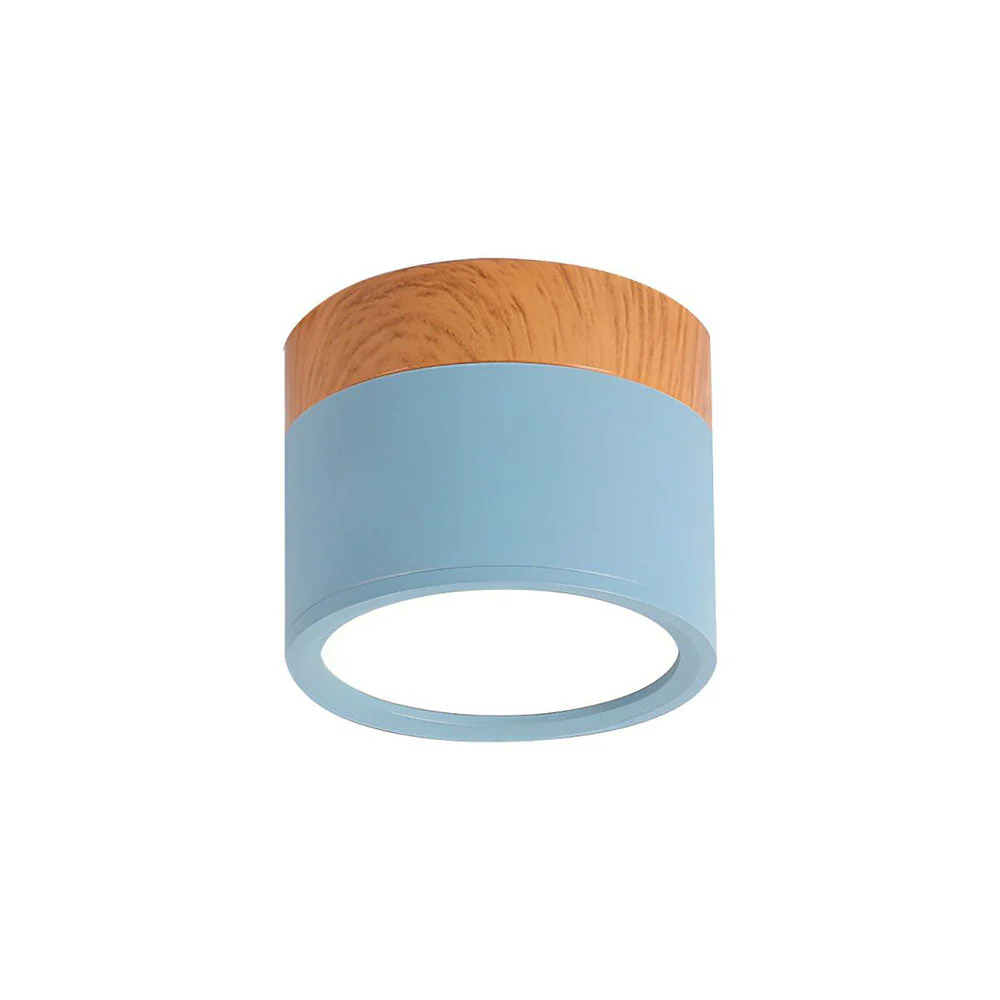 Modern Flush Mount LED Ceiling Light �?Compact Weatherproof Aluminium Fixture for Porch & Hallway