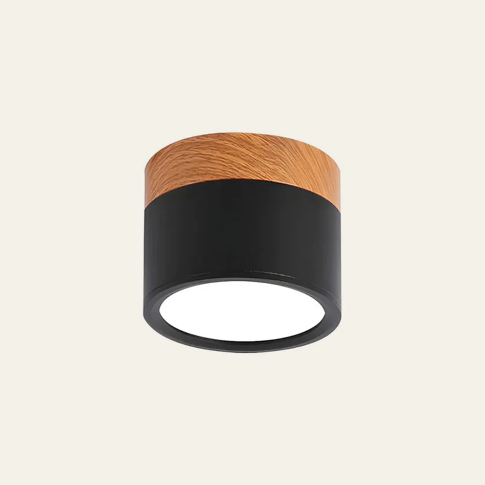 Modern Flush Mount LED Ceiling Light �?Compact Weatherproof Aluminium Fixture for Porch & Hallway