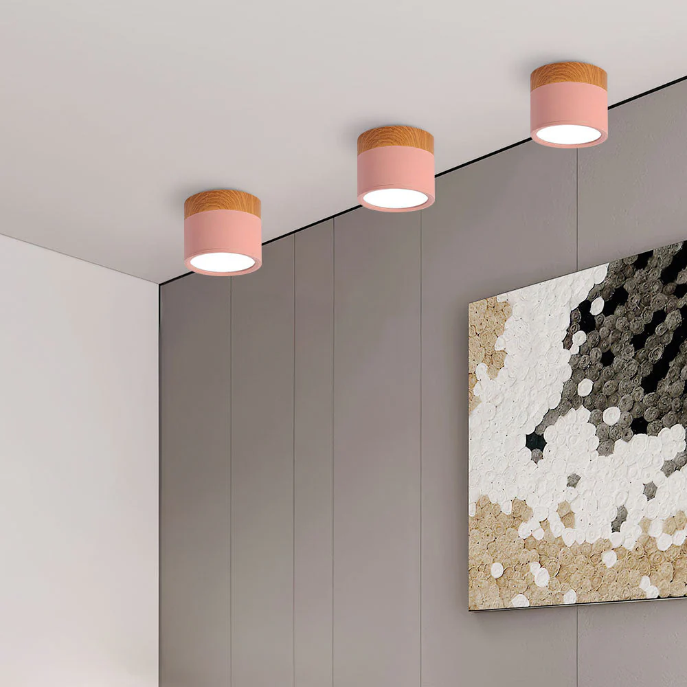 Modern Flush Mount LED Ceiling Light �?Compact Weatherproof Aluminium Fixture for Porch & Hallway
