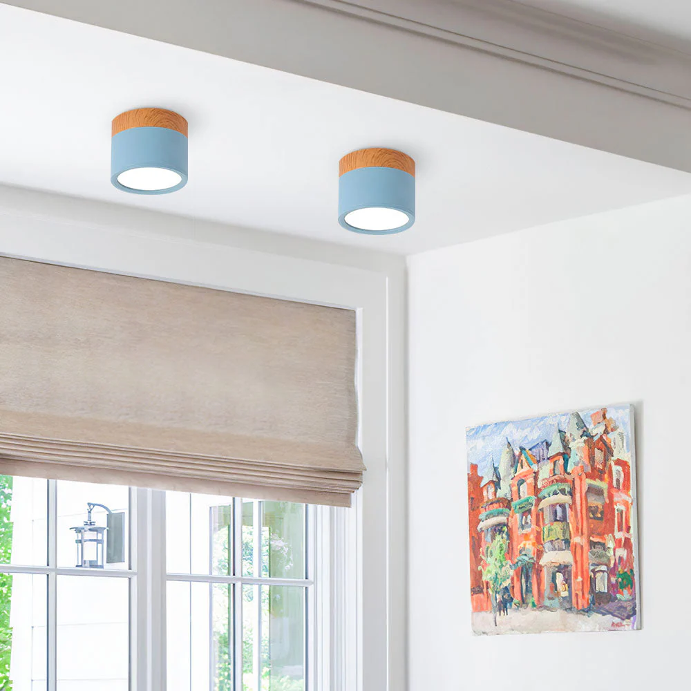 Modern Flush Mount LED Ceiling Light �?Compact Weatherproof Aluminium Fixture for Porch & Hallway