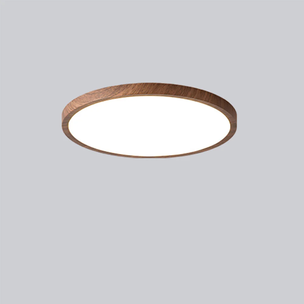 Modern Flush Mount LED Ceiling Light �?Minimalist Acrylic Round Fixture