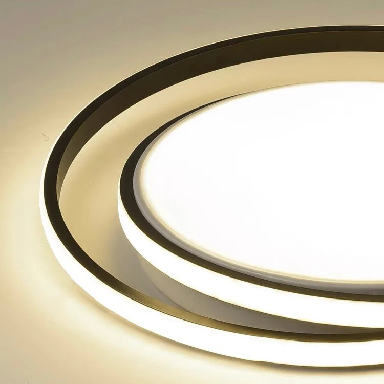 Modern Minimalist LED Flush Ceiling Light �C Circular Iron & Acrylic Fixture