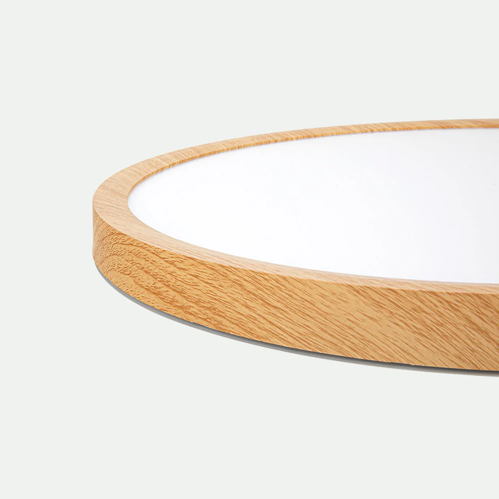 Modern Flush Mount LED Ceiling Light �?Minimalist Acrylic Round Fixture