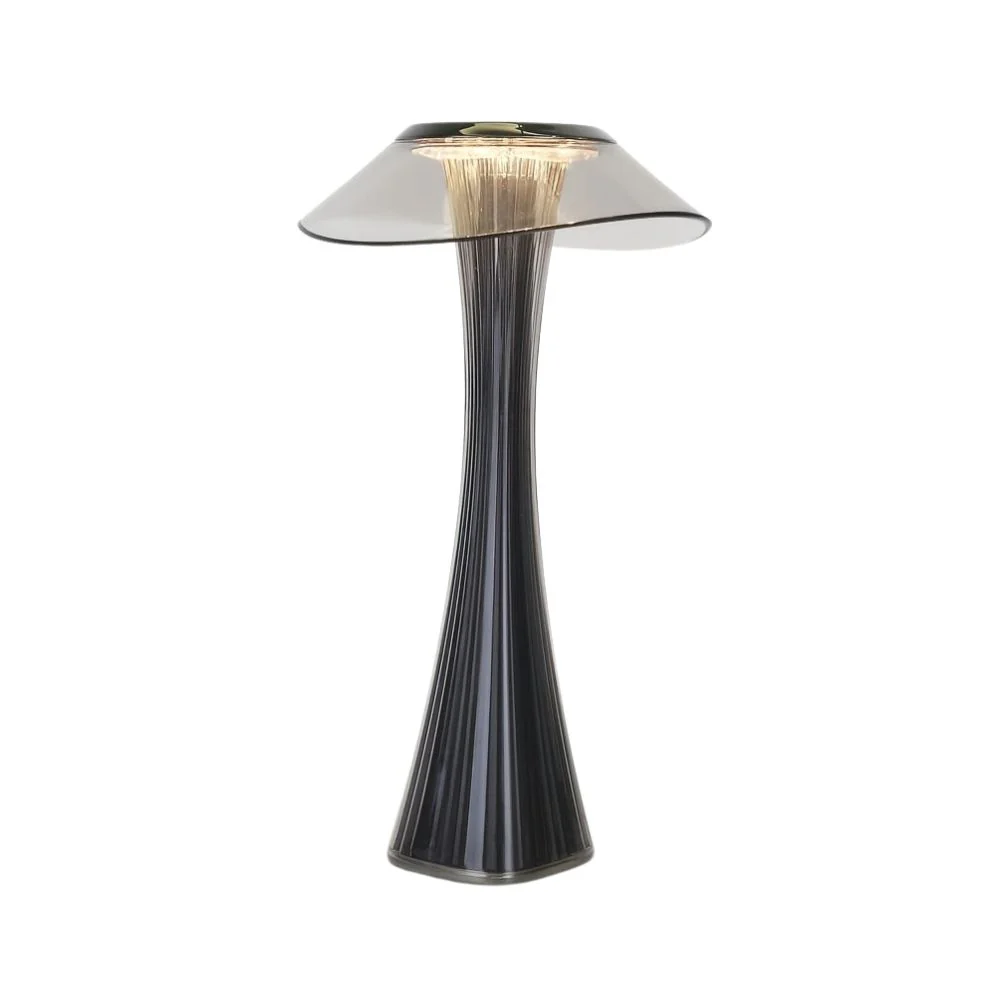 Touch Dimmable LED Desk Lamp, USB Rechargeable