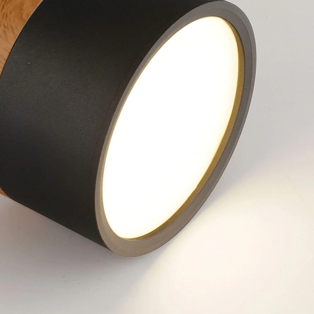 Modern Flush Mount LED Ceiling Light �?Compact Weatherproof Aluminium Fixture for Porch & Hallway