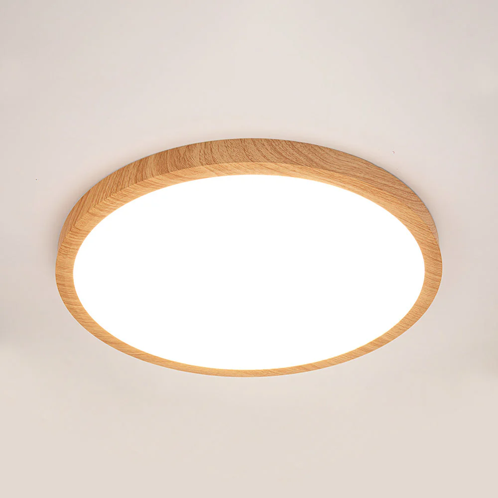 Modern Flush Mount LED Ceiling Light �?Minimalist Acrylic Round Fixture