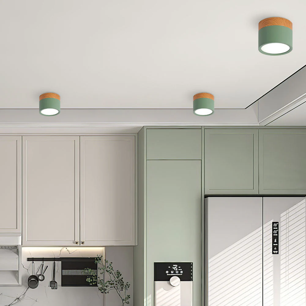 Modern Flush Mount LED Ceiling Light �?Compact Weatherproof Aluminium Fixture for Porch & Hallway