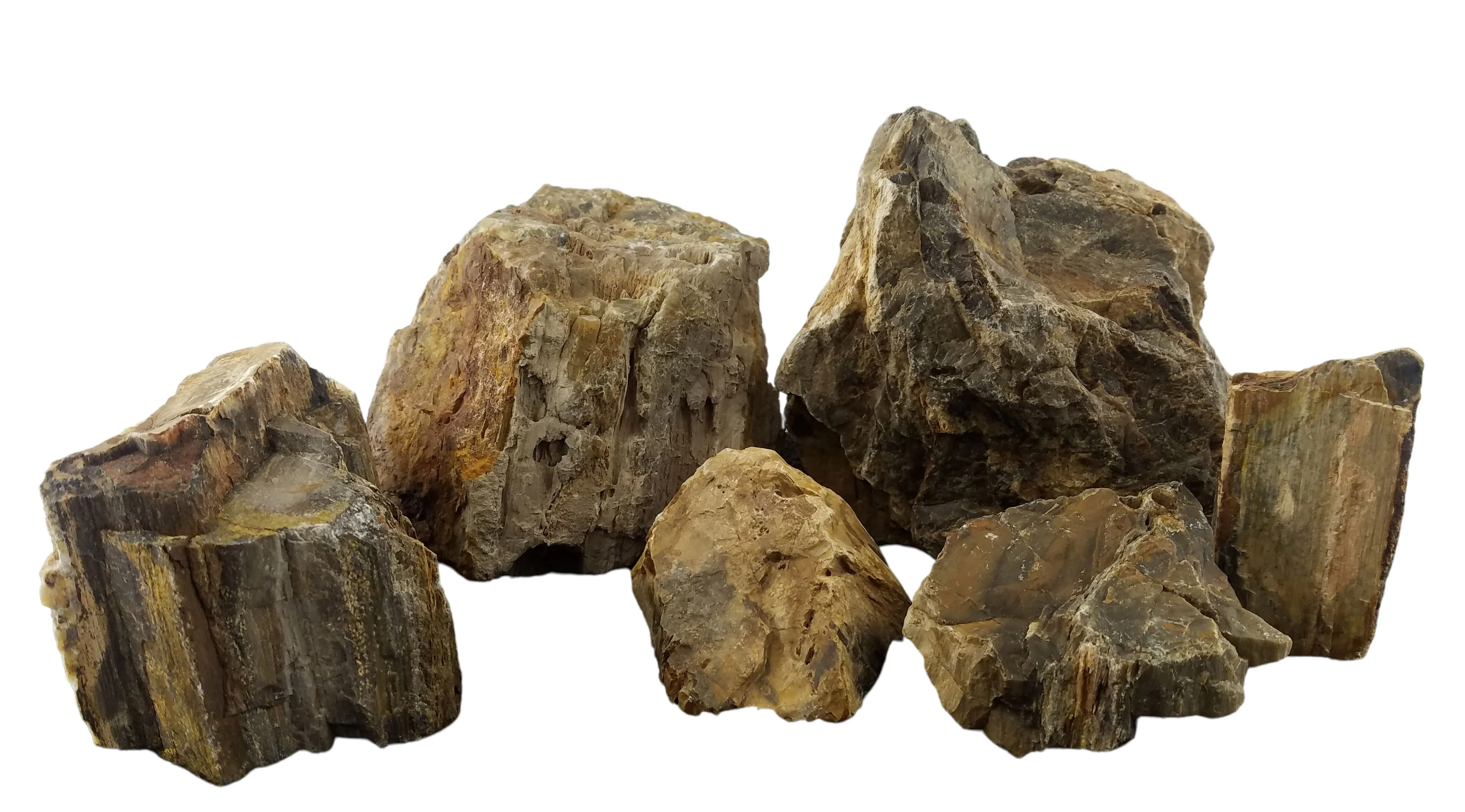 Lifegard Aquatics Canyon Petrified Stone - 44 Lbs box of MEDIUM size stones