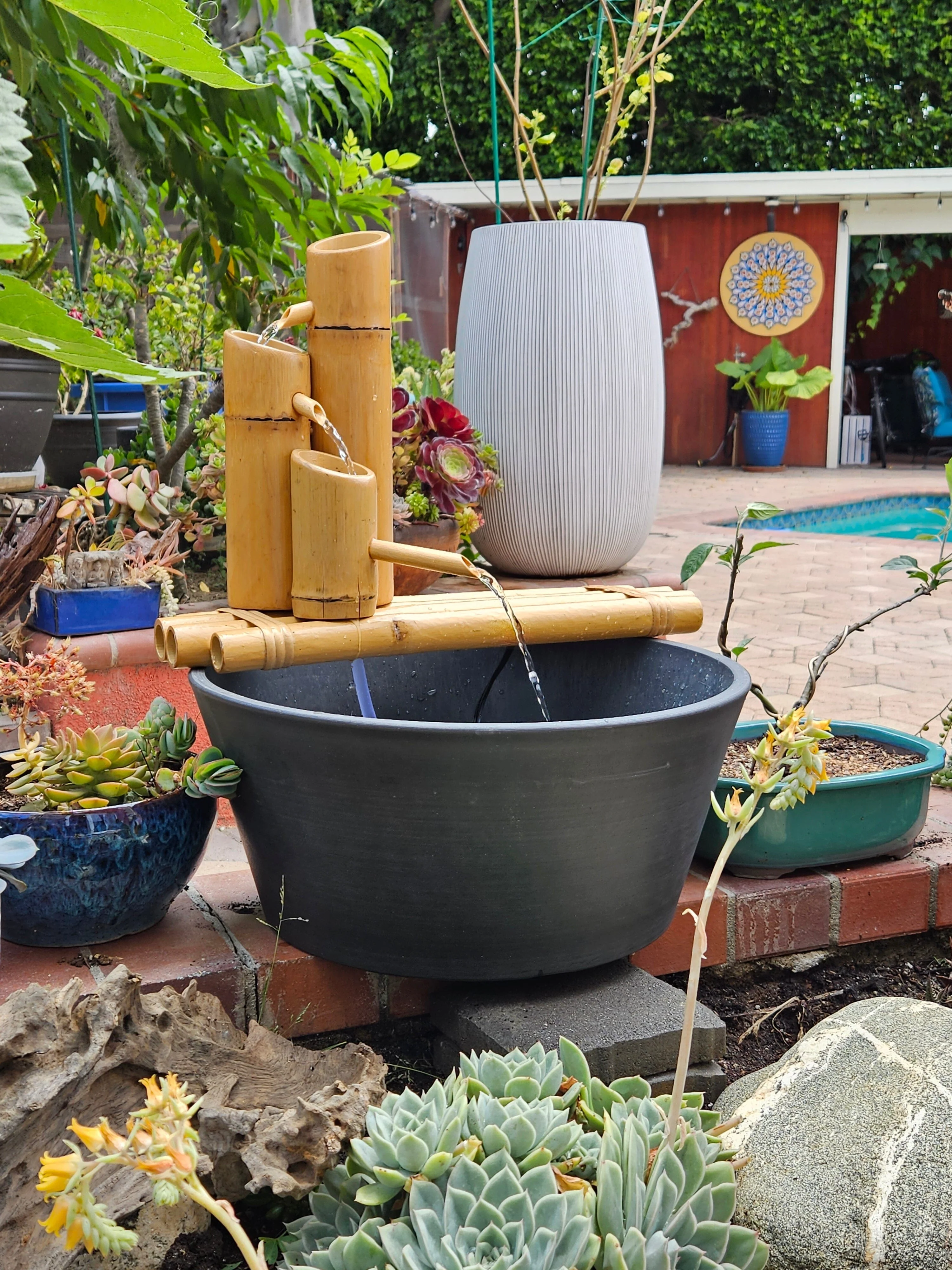 Lifegard Aquatics 18