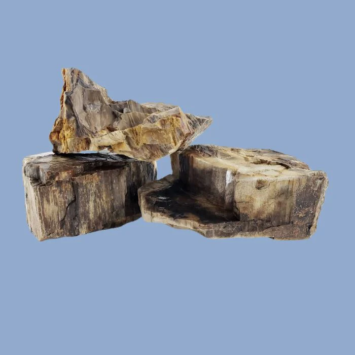 Lifegard Aquatics Canyon Petrified Stone - 44 Lbs box of MEDIUM size stones