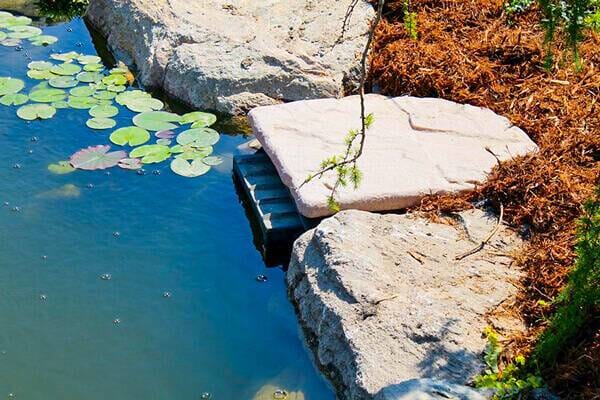 Blue Thumb Small Elite Skimmer w/ Natural Lid - 8