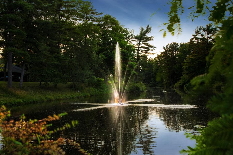 Scott Aerator Clover Fountain