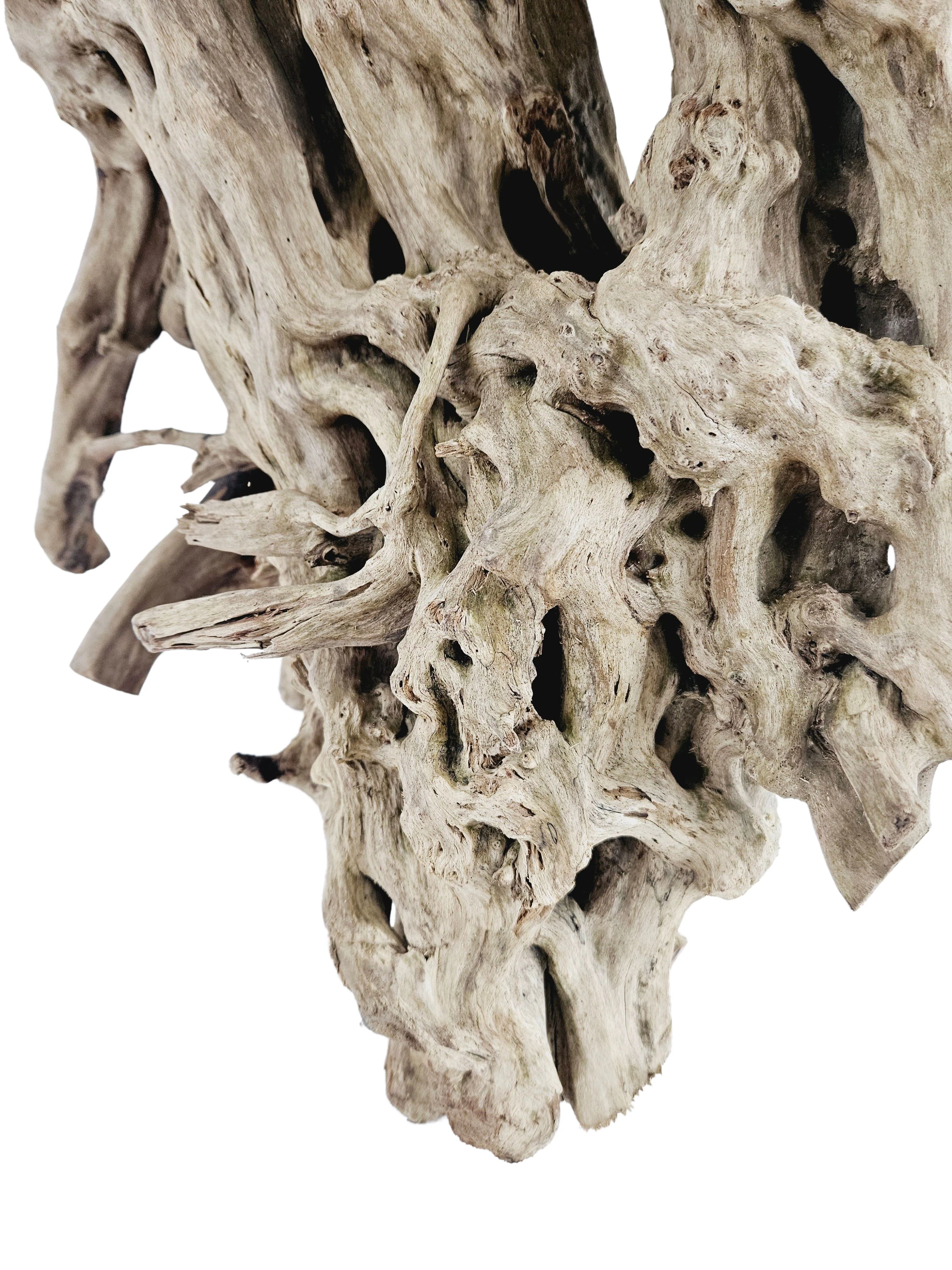 Lifegard Aquatics Spiderwood Tree Stump