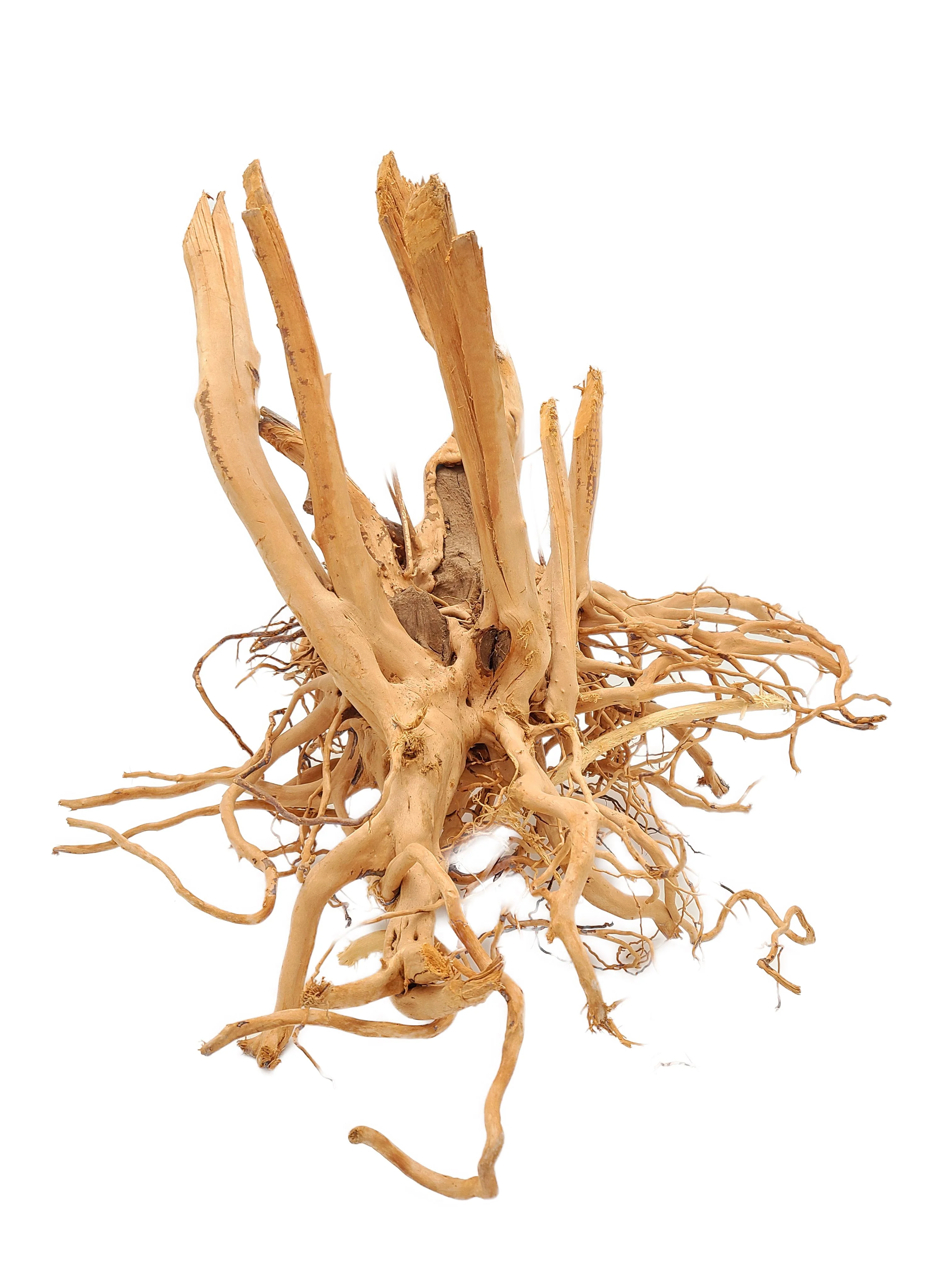 Lifegard Aquatics Spiderwood Tree Stump