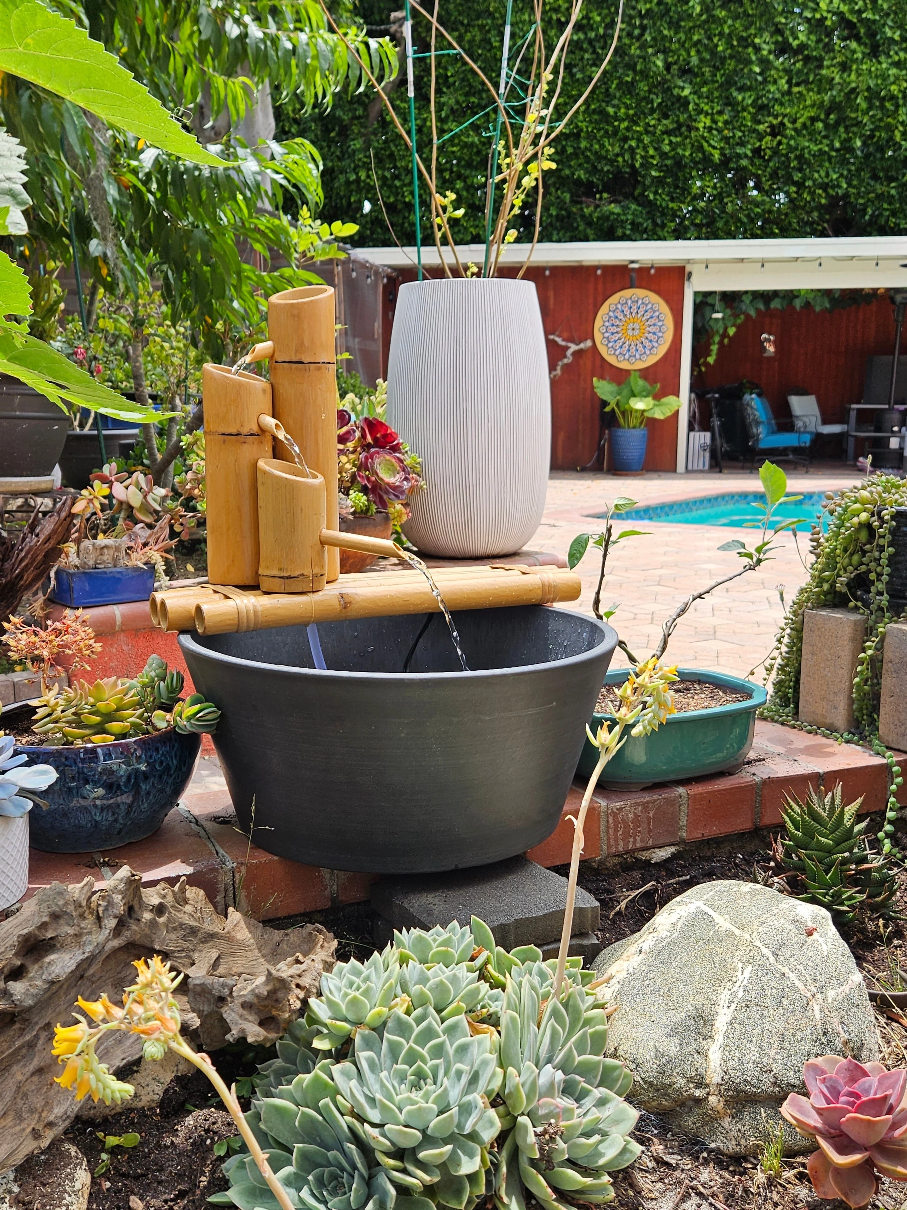Lifegard Aquatics 18