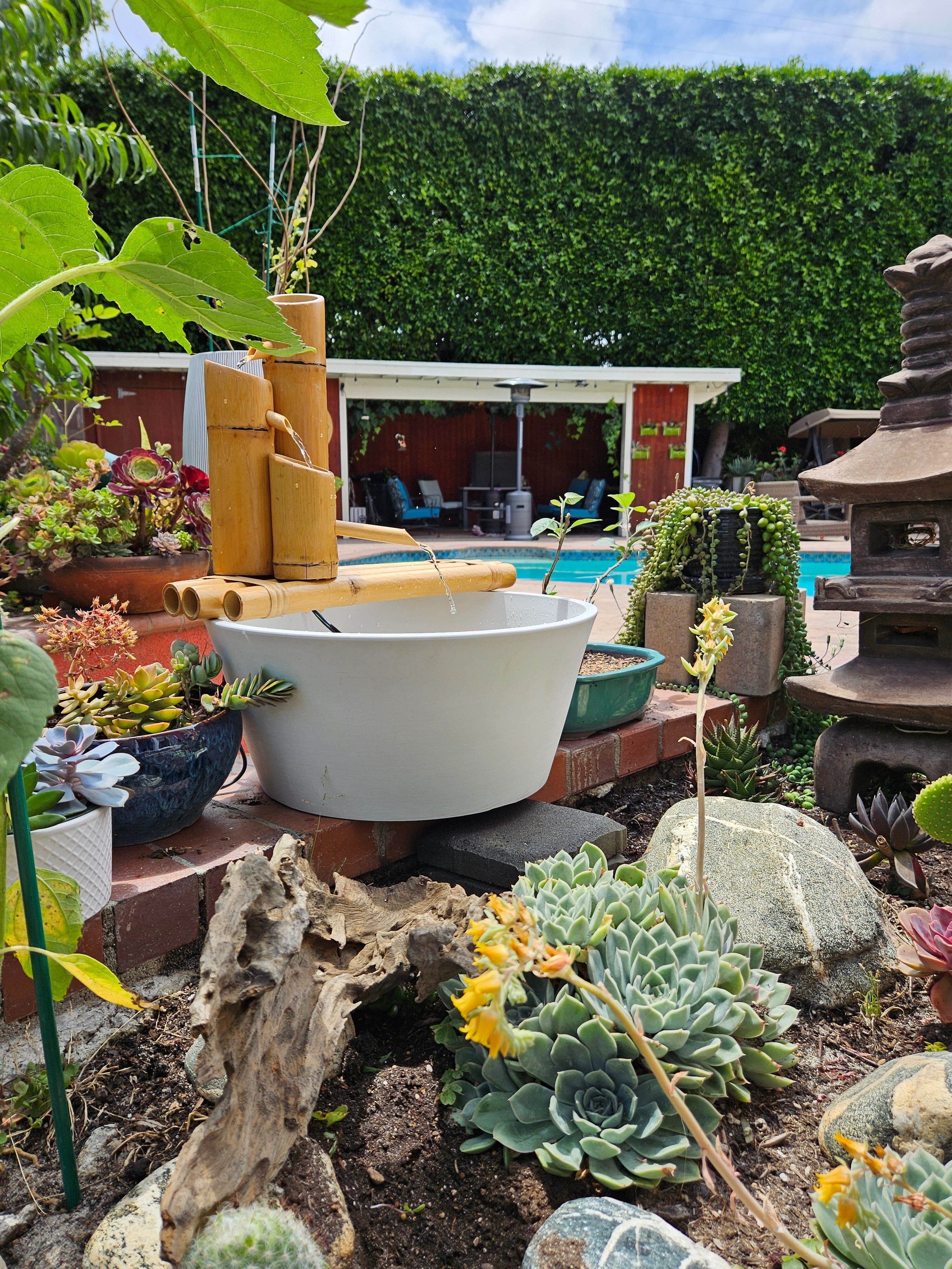 Lifegard Aquatics 18