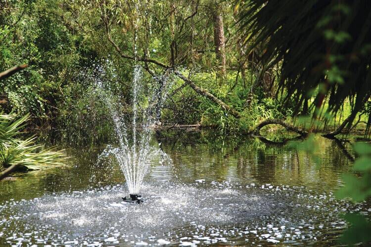 Oase Floating Fountain with Lights