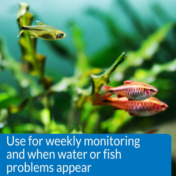 API Freshwater Master Test Kit - Aquarium