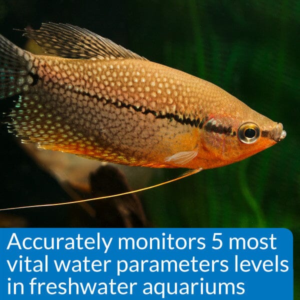 API Freshwater Master Test Kit - Aquarium
