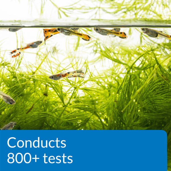 API Freshwater Master Test Kit - Aquarium