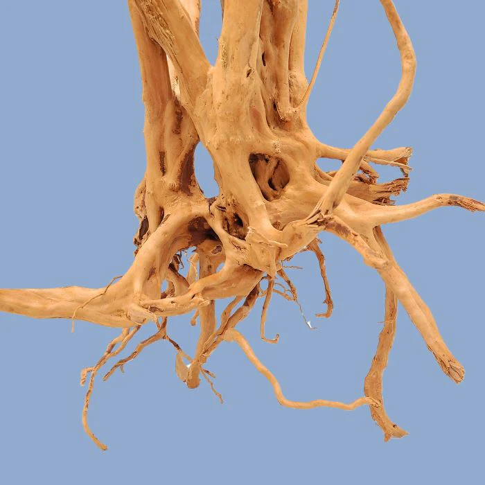 Lifegard Aquatics Spiderwood Tree Stump