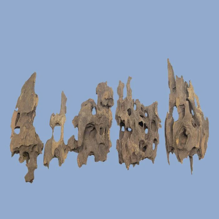 Lifegard Aquatics Dragon Wood Pack