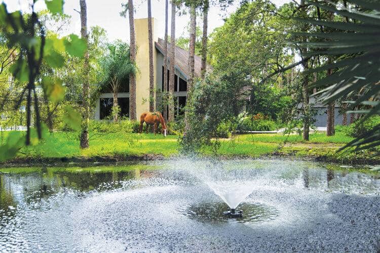 Oase Floating Fountain with Lights