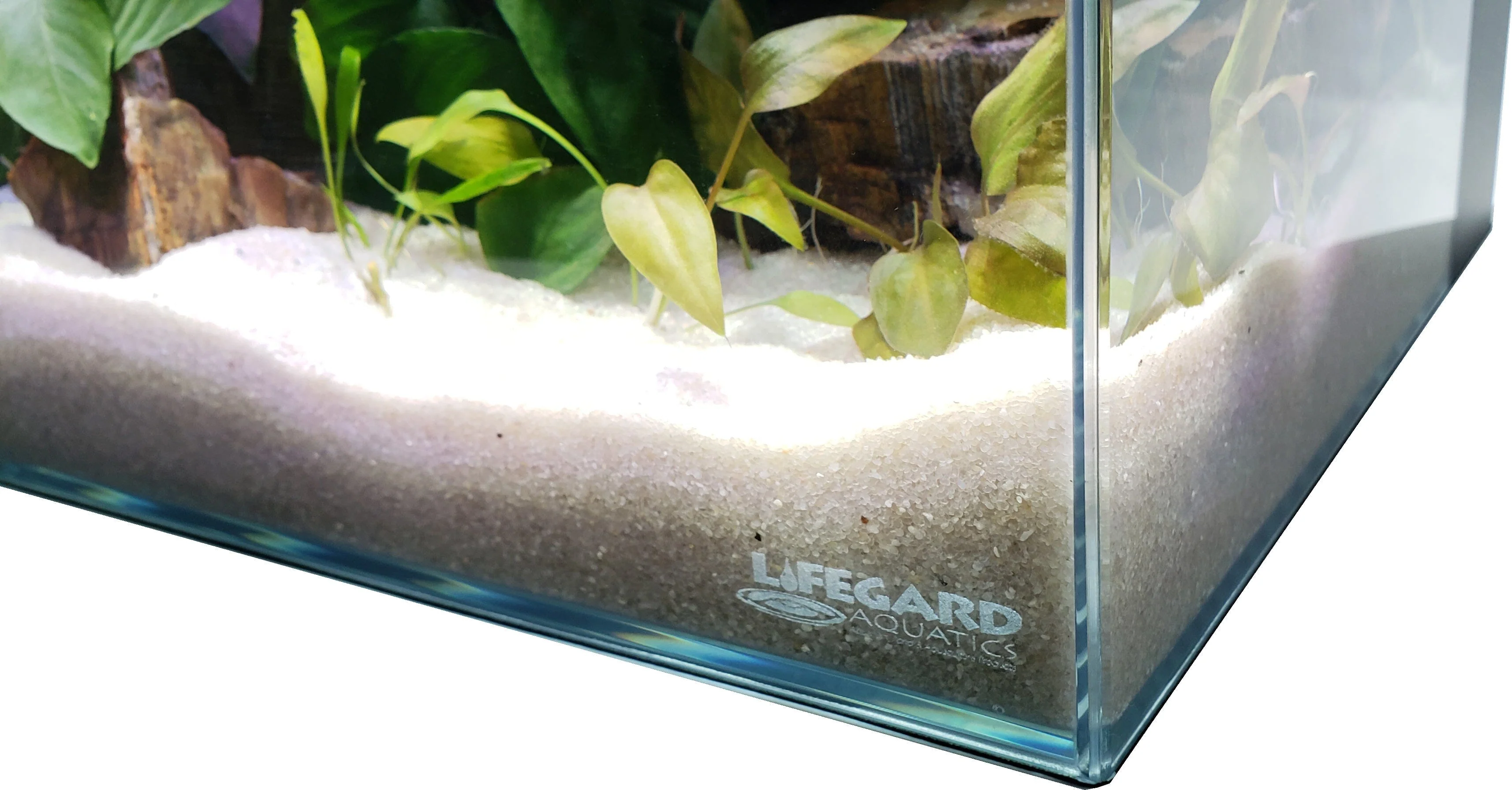 Lifegard Aquatics 40 gallon CRYSTAL Rimless Low Iron Ultra Clear Aquarium