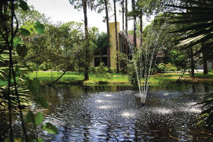 Oase Floating Fountain with Lights