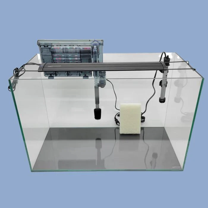 Lifegard Aquatics 20 gallon Rimless Aquarium
