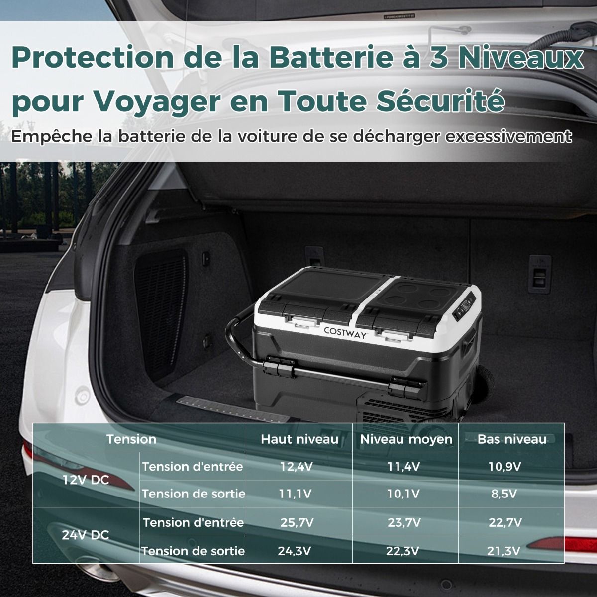 Glacière Électrique Portable Double Zone 40L Réfrigérateur de Voiture 12 V à Compresseur -20℃ ~ 20℃ 12/24V CC et 100-240V CA Noir